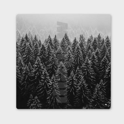 Photo noir et blanc d’une forêt de sapins vue du ciel. Tableau murale d'hiver pour décoration intérieure moderne. Photo noir et blanc d’une forêt de sapins vue du ciel. Tableau murale d'hiver pour décoration intérieure moderne.
