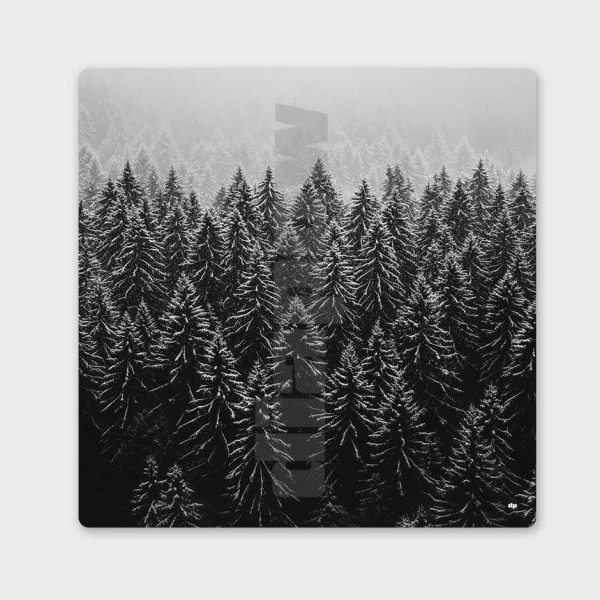 Foto in bianco e nero di una foresta di abeti vista dal cielo. Quadro murale invernale per arredamento d'interni moderno.