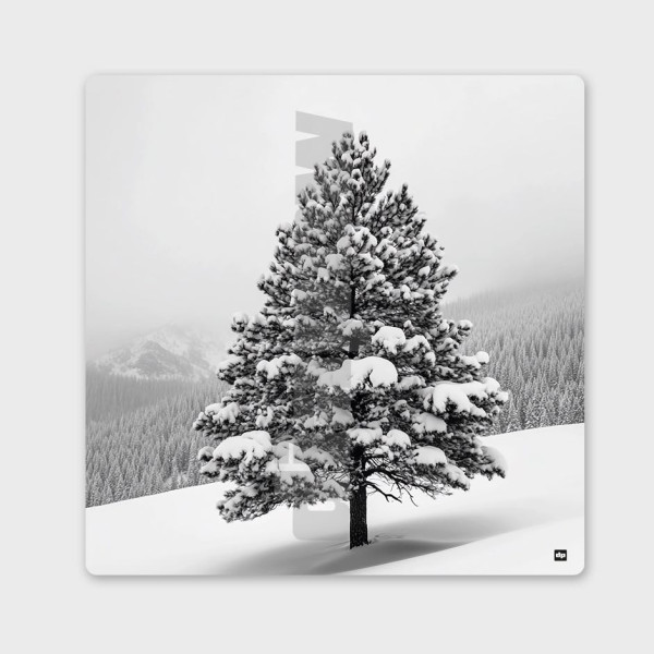 Schwarz-Weiß-Foto einer Tanne in einer verschneiten Berglandschaft. Modernes Winter-Wandbild.