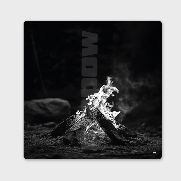 Schwarz-Weiß-Gemälde, Fotografie eines Holzfeuers für eine moderne Wanddekoration im Designerstil.