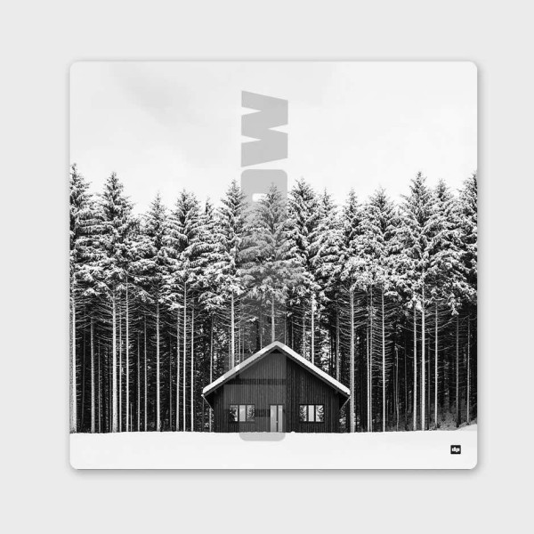 Tableau noir et blanc, photographie d'un chalet devant une forêt de sapins, pour décoration murale design et moderne.