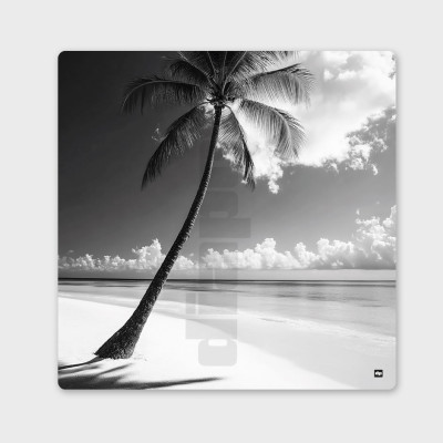 Photo noir et blanc d'une plage paradisiaque. Tableau murale design et apaisante pour décoration intérieure moderne.