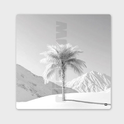 Foto in bianco e nero di una palma nel cuore di un paesaggio innevato. Quadro da parete dal design rilassante. Foto in bianco e nero di una palma nel cuore di un paesaggio innevato. Quadro da parete dal design rilassante.
