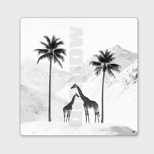Photo noir et blanc d’une savane enneigée avec des girafes. Tableau murale design pour décoration intérieure moderne.