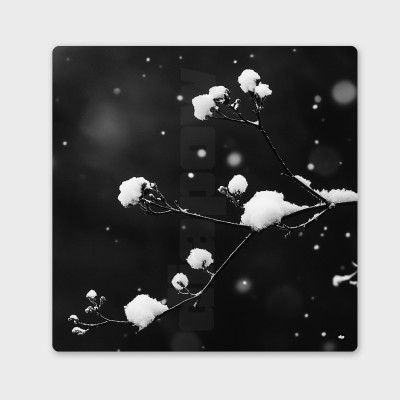 Tableau noir et blanc Diapow, photographie minimaliste d'une branche avec de la neige, décoration murale design et premium.