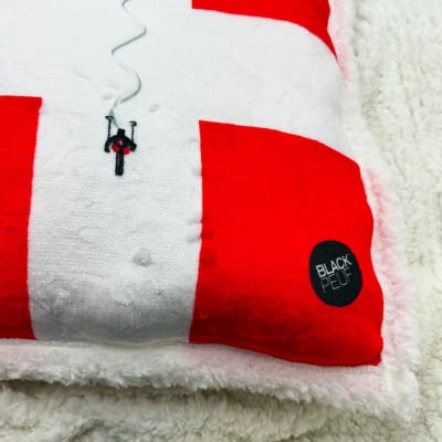 COUSSIN DRAPEAU DE SAVOIE