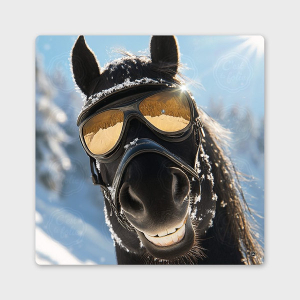 Gemälde C’EST LA FOLIE – Auffälliges Design & Humor made in Savoie