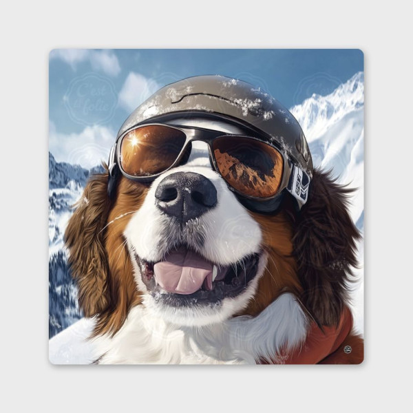 Quadri C’EST LA FOLIE – Design appariscente e umorismo made in Savoia