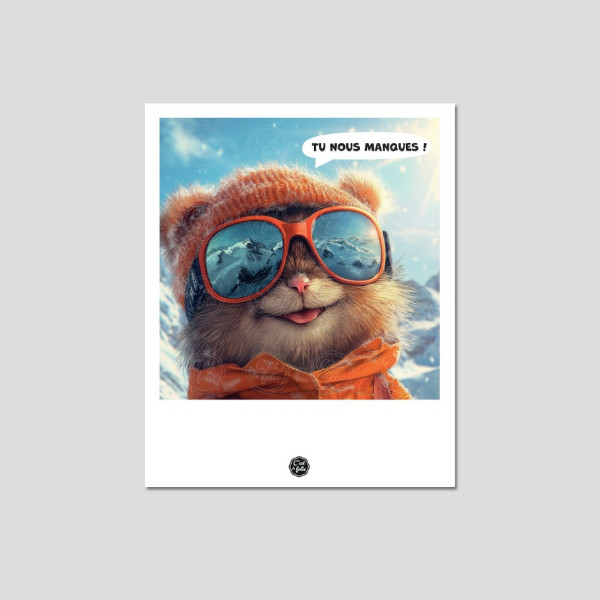 Discover the C'EST LA FOLIE postcards | Colorful & humorous designs