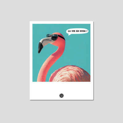 Discover the C'EST LA FOLIE postcards | Colorful & humorous designs
