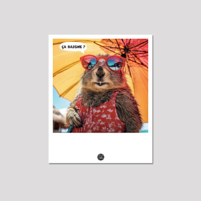 Scopri le cartoline C'EST LA FOLIE | Design colorati e divertenti