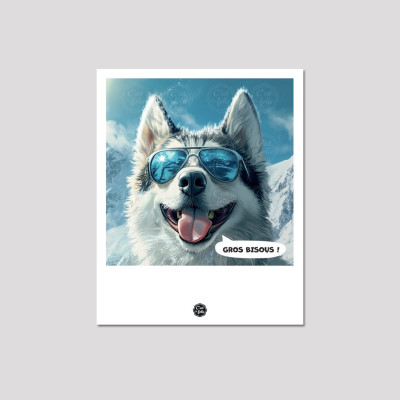 Discover the C'EST LA FOLIE postcards | Colorful & humorous designs