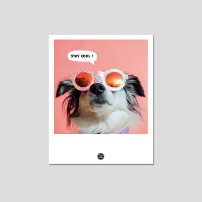 Discover the C'EST LA FOLIE postcards | Colorful & humorous designs