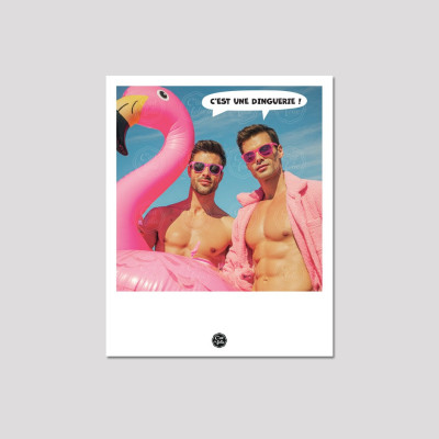 Discover the C'EST LA FOLIE postcards | Colorful & humorous designs