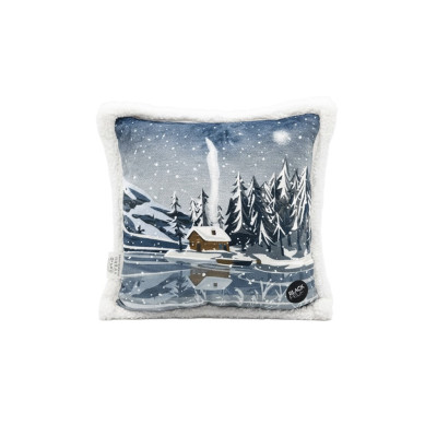 COUSSIN CHALET AU BORD DU LAC
