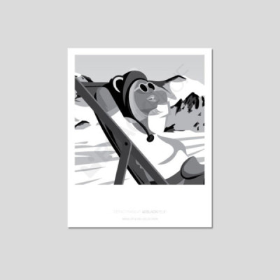 Cartes postales Polaroïd et Panoramique BLACKPEUF souvenir des alpes