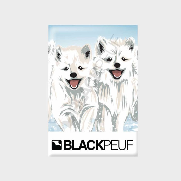 Magnet souvenir de montagne avec les illustrations BLACKPEUF