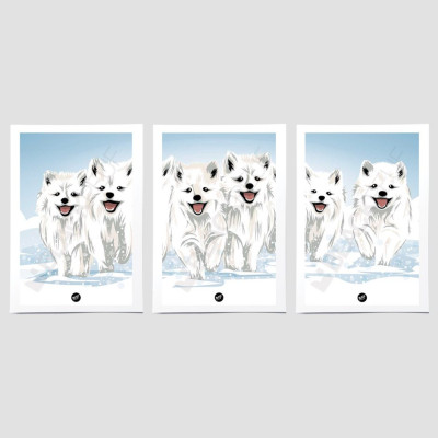 PACK DUO AFFICHE TO THE WILD PACK DUO AFFICHE TO THE WILD