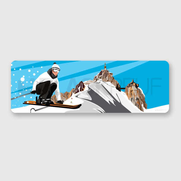 TABLEAU AIGUILLE DU MIDI SAUT 50CM x 15CM