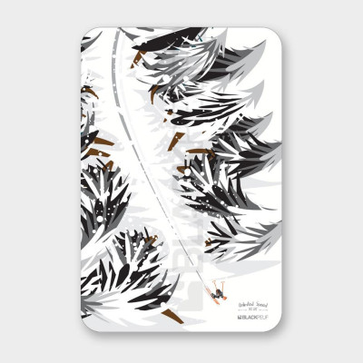 PITTURA UNLIMITED SPEED 50CM x 33CM